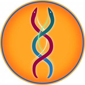 nishant matthews logo